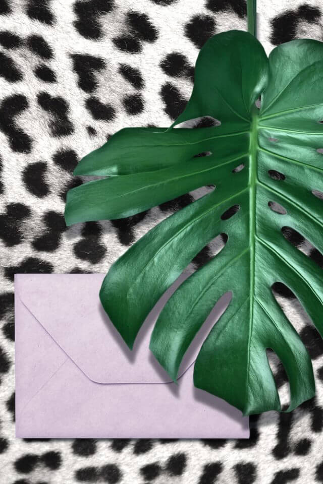 purple envelope on animal print