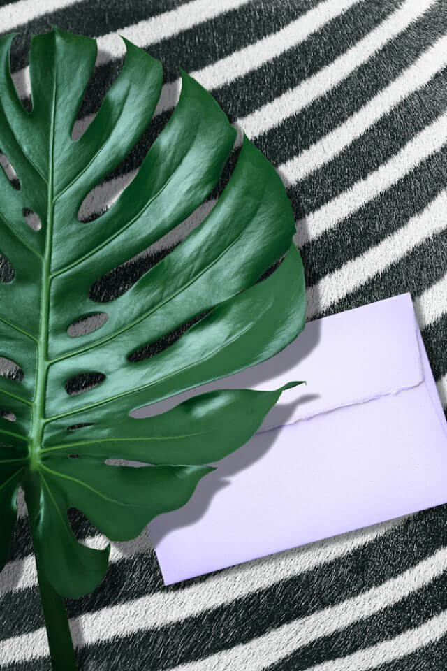 purple envelope on animal background