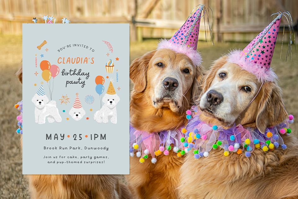 dogs-kids-birthday-invite Two golden retriever dogs wearing pink party hats and colorful pom-pom collars sit outdoors next to a kids’ birthday invitation featuring cartoon dogs, balloons, and party icons for a puppy-themed birthday celebration.