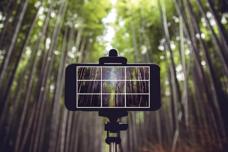 A smartphone mounted on a stick, utilizing the rule of thirds in its camera composition, captures the serene beauty of the surrounding trees.