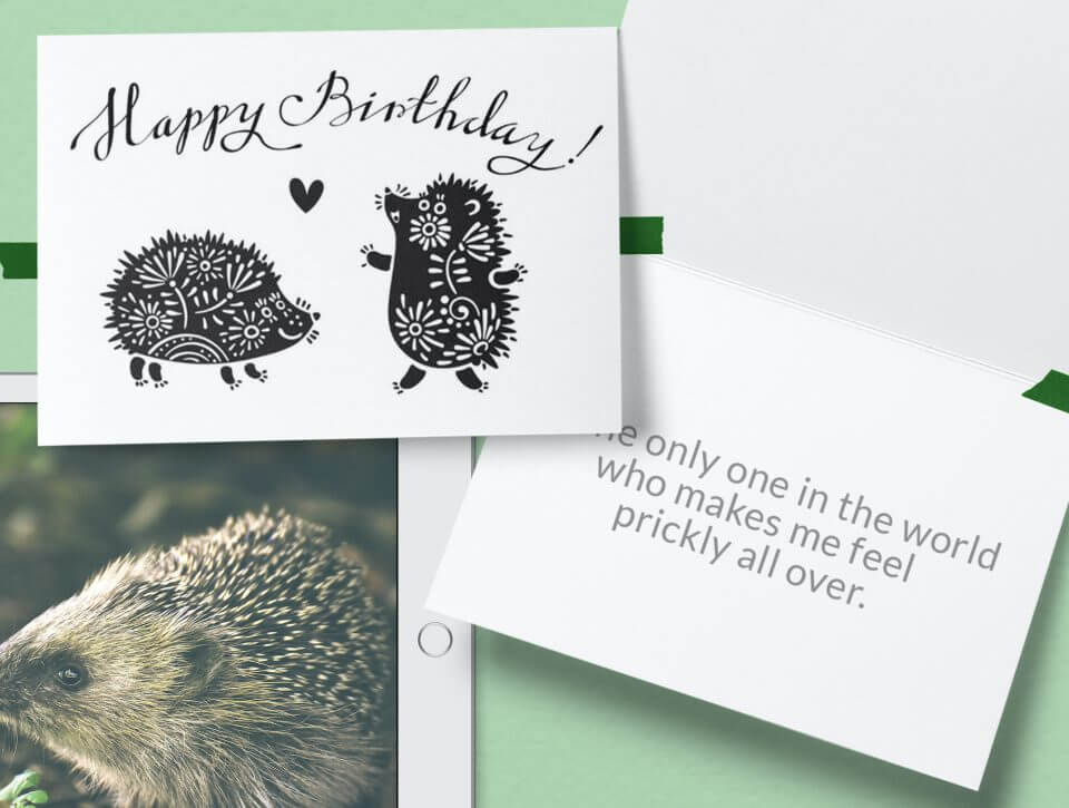 Hand-Drawn Hedgehogs Birthday Card for Husband: Adorable Hedgehog Illustrations with a Heartfelt 'Happy Birthday' Message. Two Black Ink Hedgehogs with a Sweet Heart Embracing Them.