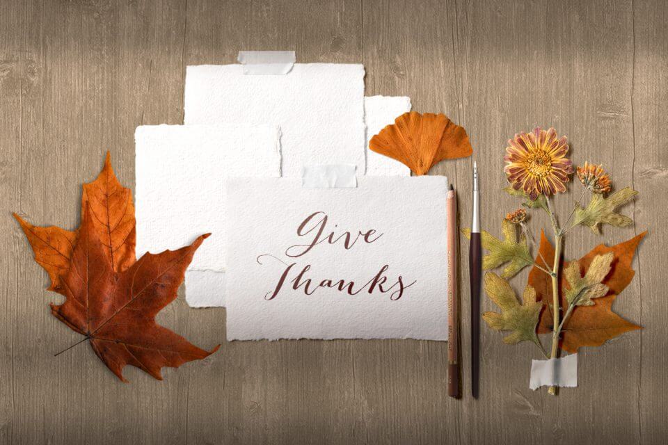 Handwritten 'Give Thanks' note with impeccable penmanship on parchment-like paper, placed on a table beside a pen. Two golden autumn leaves and a vibrant fall flower accentuate the scene.