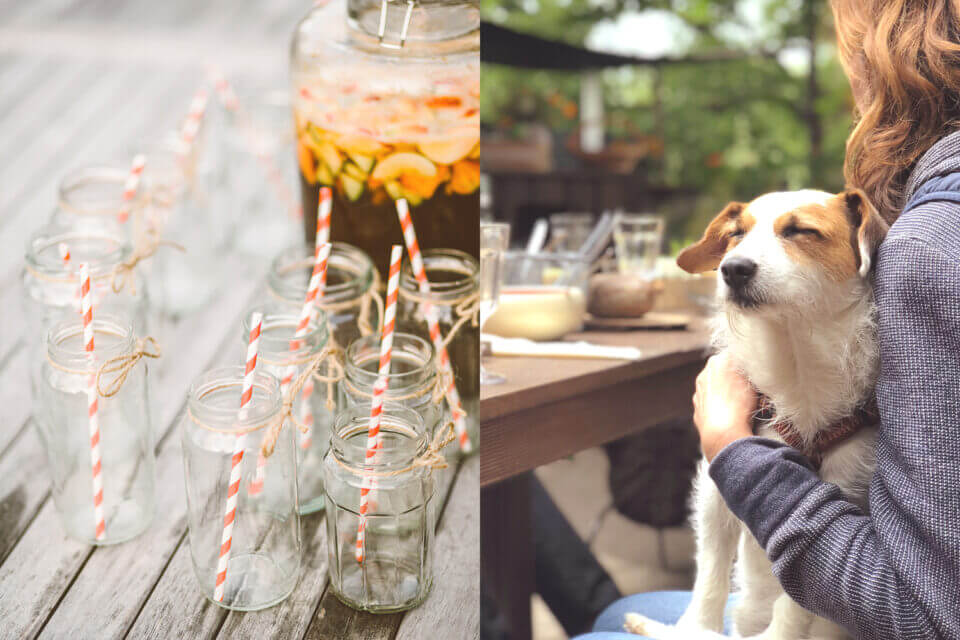 Punch and Refreshing Drinks Served with Straws, Alongside a Garden Party Scene with Women and a Dog Enjoying the Set Table Outdoors.