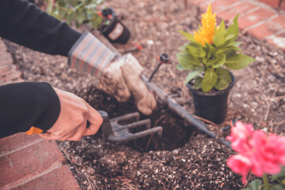 A person is outside planting flowers, hands clad in gardening gloves, surrounded by an array of gardening tools and supplies.