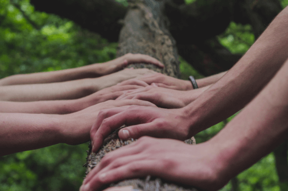 Four people's hands rest together on a tree trunk, symbolizing unity and the close bond of family.