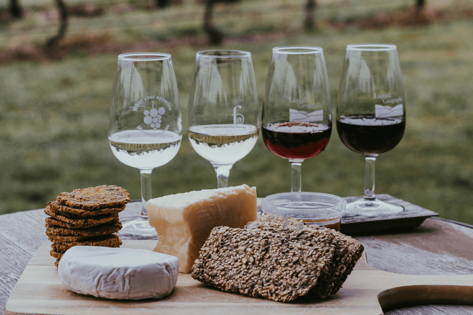 A row of wine glasses, each filled with a different type of wine, paired thoughtfully with an array of complementary foods.