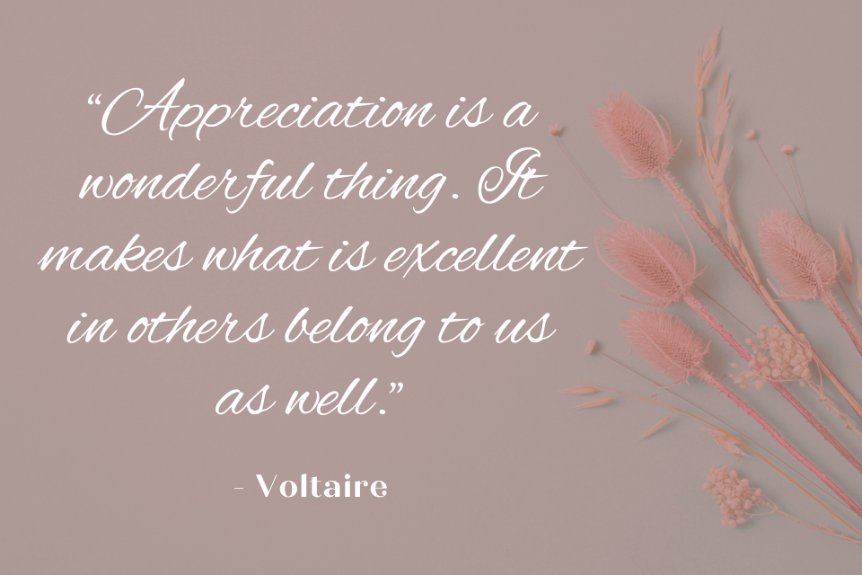 A quote by Voltaire about appreciation.  The quote reads: "Appreciation is a wonderful thing. It makes what is excellent in others belong to us as well."  
