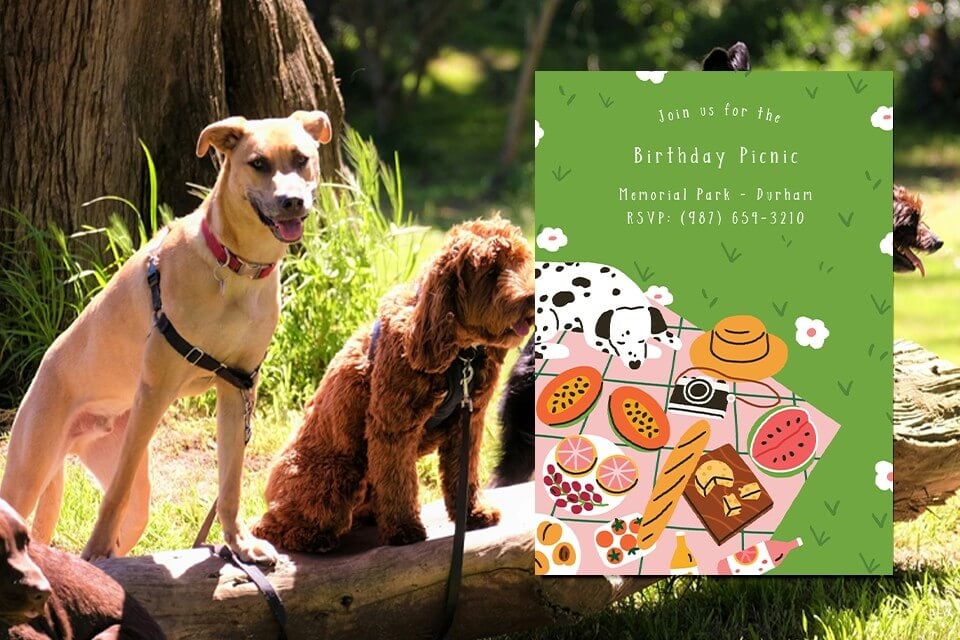 A playful dog stretches out on a picnic blanket laden with treats, inviting you to a birthday celebration. The invitation, adorned with a green background and illustrated picnic scene, rests against a vibrant outdoor space with dogs.